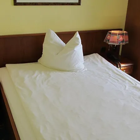 Hotell Brandiser Parkhotel 3*