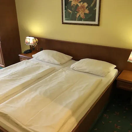 Hotel Brandiser Parkhotel